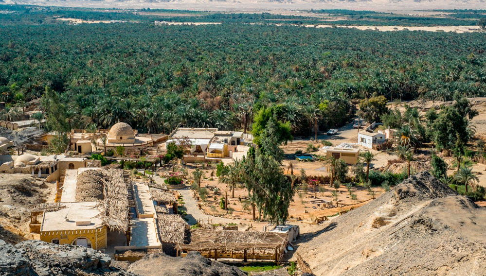 Escursione all'oasi di Fayyum - Foto 1