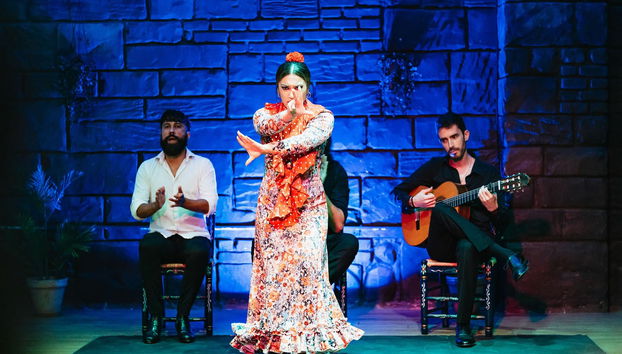 Flamenco Show in Seville - Foto 3