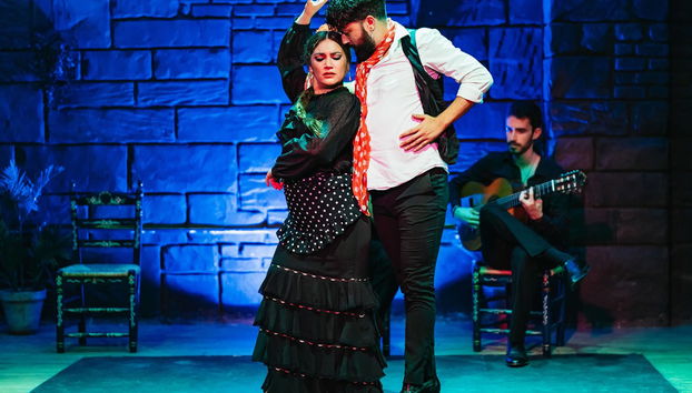 Flamenco Show in Seville - Foto 4