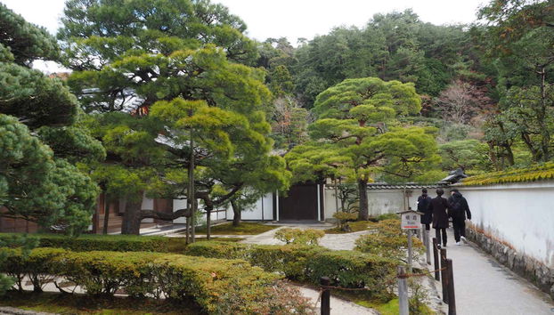 Tour en bicicleta por Kioto - Foto 4