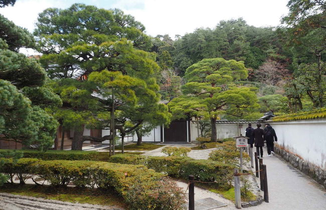 Tour en bicicleta por Kioto - Foto 4