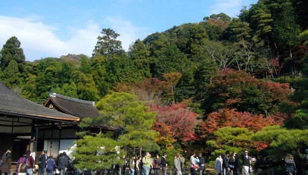 Tour en bicicleta por Kioto - Foto 5