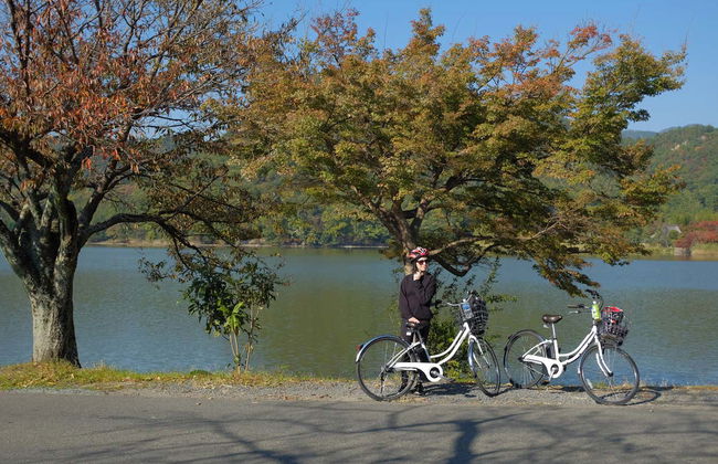 Tour en bicicleta por Kioto - Foto 1
