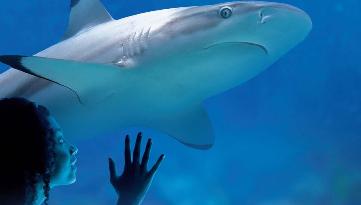 Biglietti per il SEA LIFE® Munich - Foto 1