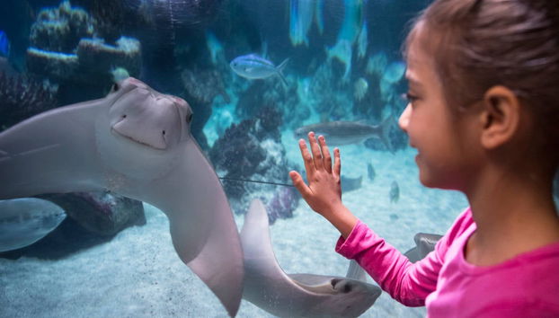 Biglietti per il SEA LIFE® Munich - Foto 3