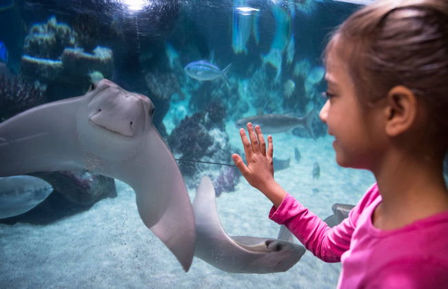 Ingresso do SEA LIFE® Munich - Foto 3