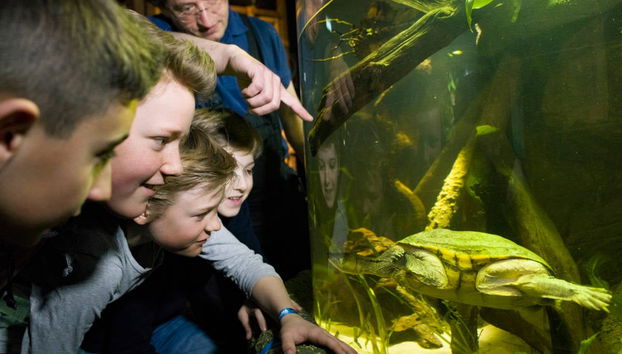 Biglietti per il SEA LIFE® Munich - Foto 2