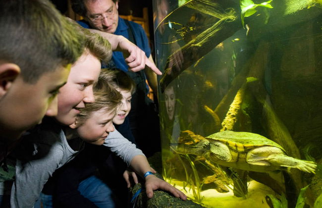 Ingresso do SEA LIFE® Munich - Foto 2