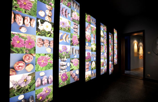 Entrada al Frietmuseum, el Museo de las Patatas Fritas - Foto 3