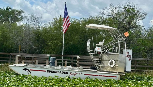 Tour por Miami e pelos Everglades - Foto 4