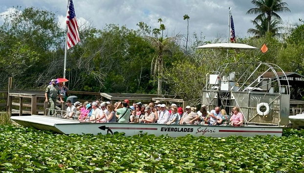 Tour por Miami e pelos Everglades - Foto 5