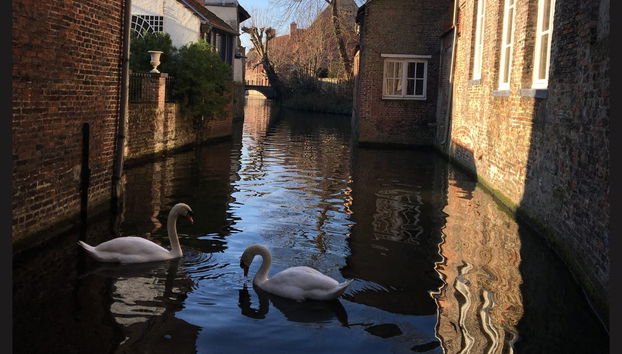 Escursione a Bruges - Foto 4