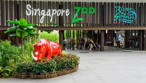Singapore Zoo Tour - Foto 4