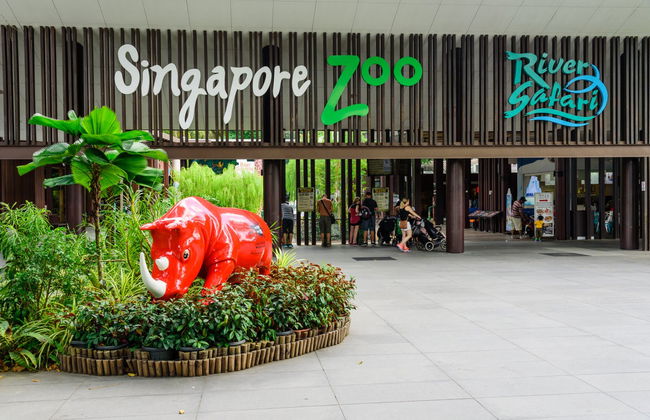 Singapore Zoo Tour - Foto 4