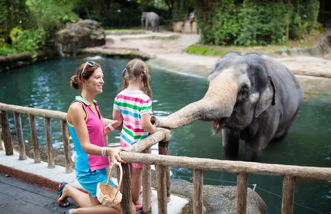 Singapore Zoo Tour - Foto 5