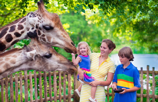 Singapore Zoo Tour - Foto 6