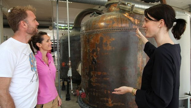 Day Trip to Grasse + Wine Tasting - Foto 4