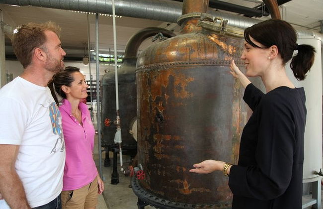 Day Trip to Grasse + Wine Tasting - Foto 4