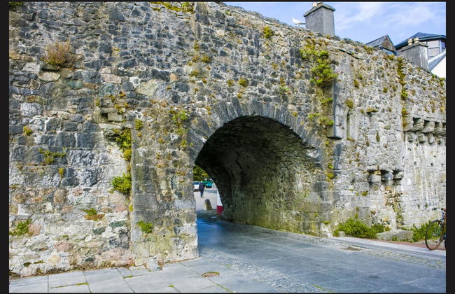 Excursión a los acantilados de Moher y Galway - Foto 3