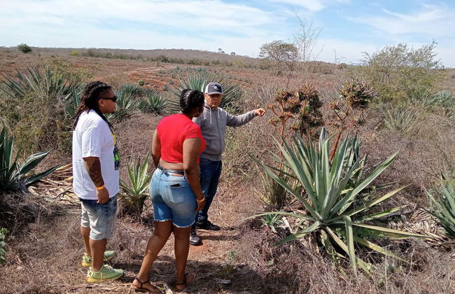 Mr. Lionso Ranch Visit + Mezcal Tasting - Photo 1