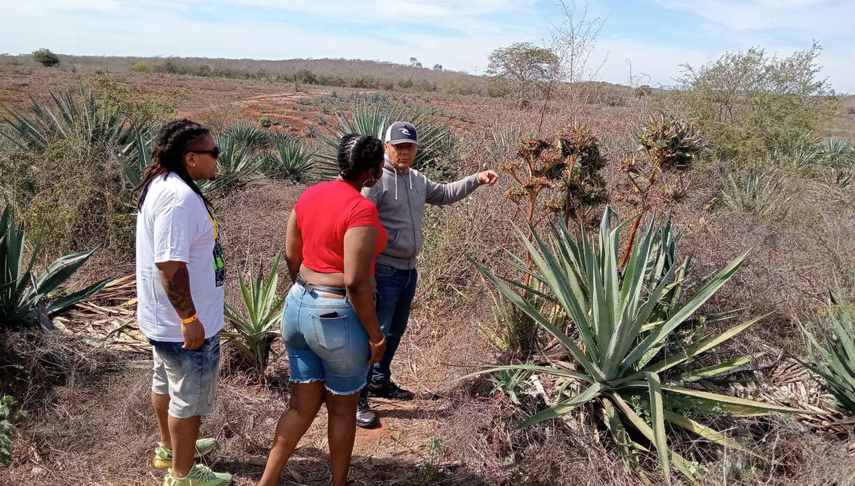 Mr. Lionso Ranch Visit + Mezcal Tasting - Photo 1