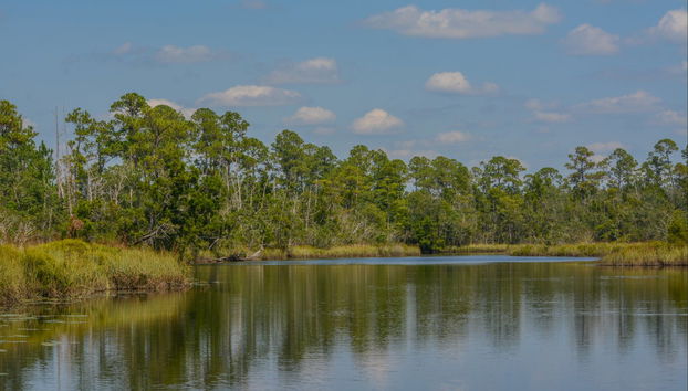 Randonnée à Round Hill - Photo 5