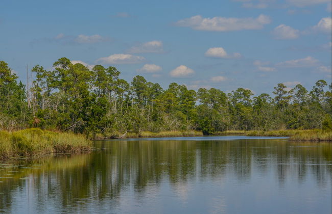 Senderismo por Round Hill - Foto 5