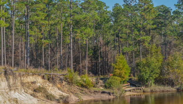 Randonnée à Round Hill - Photo 3