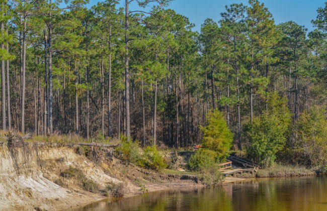 Senderismo por Round Hill - Foto 3