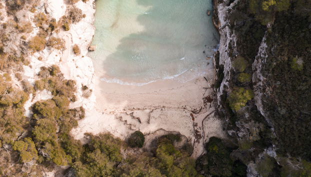 Snorkeling in Macarella and Trebalúger Cove - Foto 5