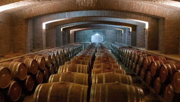 Excursão a Isla Negra, Algarrobo e Viña Undurraga - Foto 5