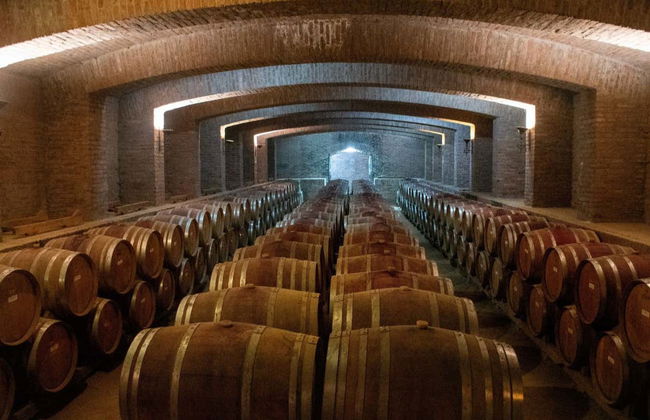 Excursão a Isla Negra, Algarrobo e Viña Undurraga - Foto 5