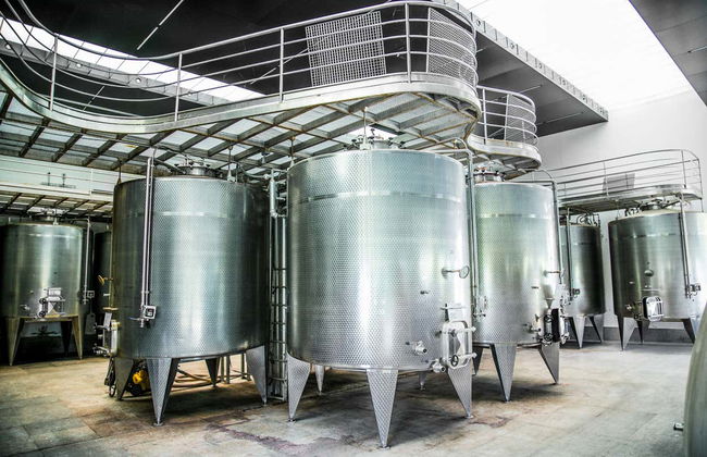 Isla Negra, Pomaire & Viña Undurraga Day Trip - Photo 6