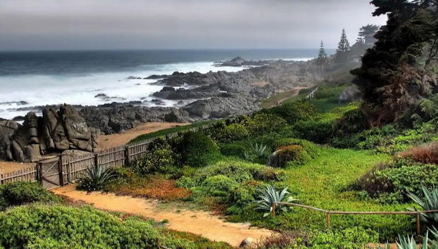 Excursão a Isla Negra, Algarrobo e Viña Undurraga - Foto 3