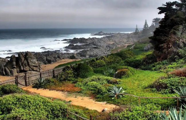 Excursão a Isla Negra, Algarrobo e Viña Undurraga - Foto 3