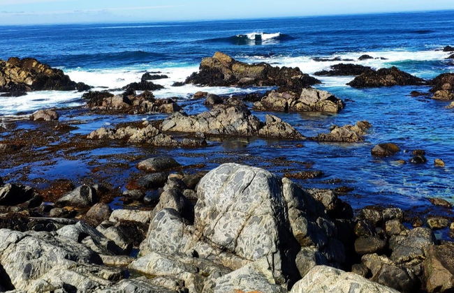 Excursão a Isla Negra, Algarrobo e Viña Undurraga - Foto 7