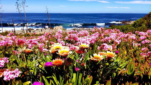 Excursão a Isla Negra, Algarrobo e Viña Undurraga - Foto 2