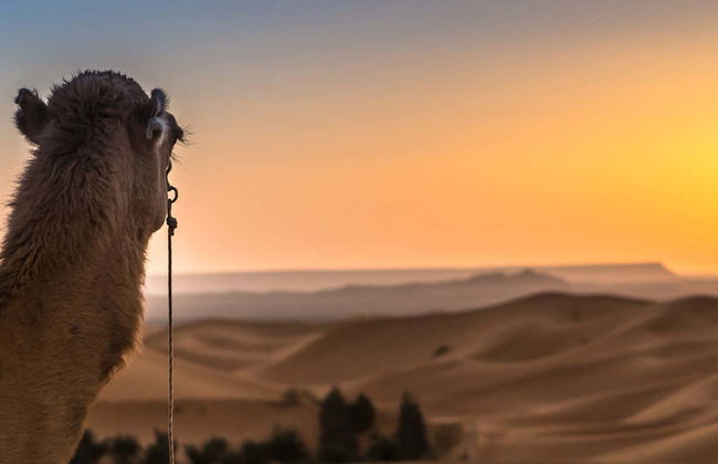 Amanecer o atardecer en el desierto de Merzouga - Foto 6