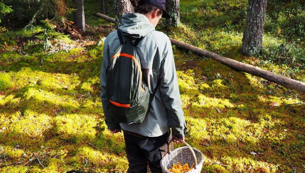 Escursione alla ricerca di funghi - Foto 5