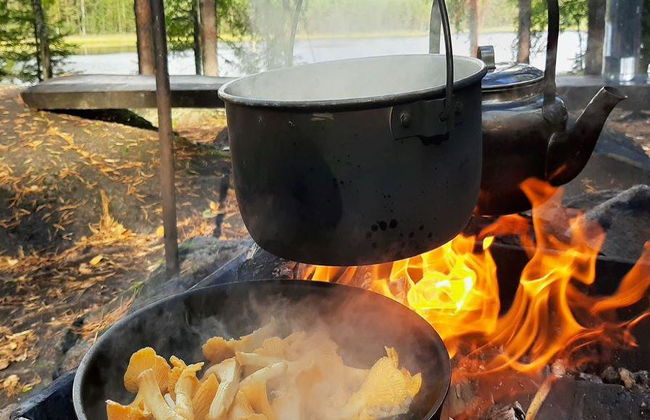 Escursione alla ricerca di funghi - Foto 6