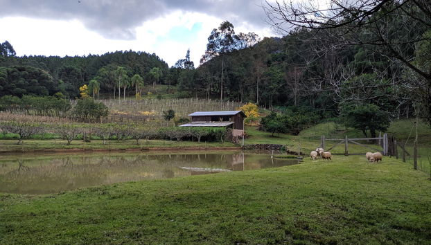 Quilombo Valley Tour - Foto 2