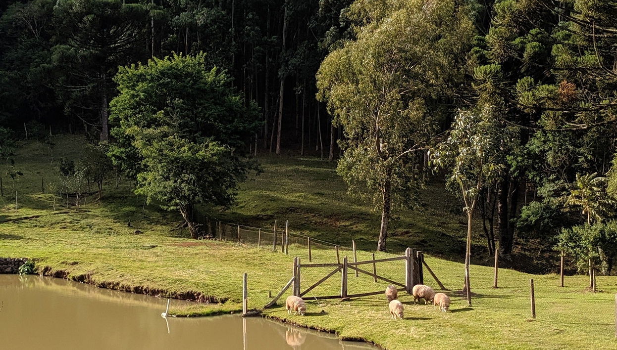 Quilombo Valley Tour - Foto 1