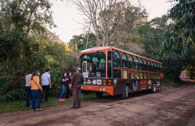 Tour por el Valle del Quilombo - Foto 7