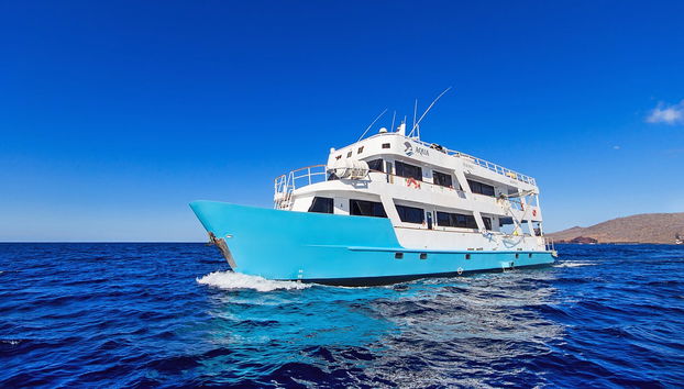 North Galapagos Islands 8-Day Diving Cruise - Foto 5