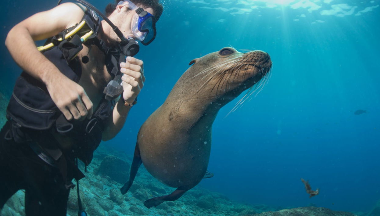 North Galapagos Islands 8-Day Diving Cruise - Foto 1