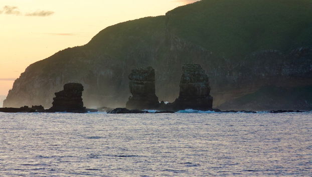North Galapagos Islands 8-Day Diving Cruise - Foto 4