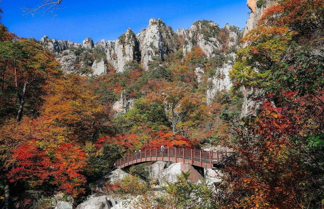 Excursion à Seoraksan et au Temple Naksansa - Photo 2