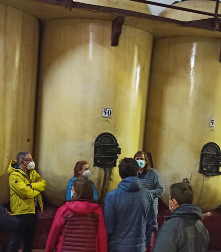 Foto de Visita a la bodega Cristo del Humilladero