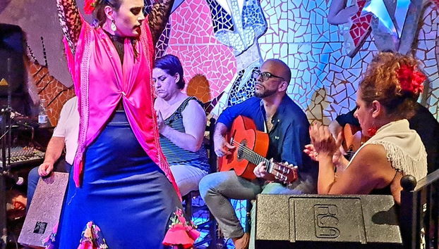 Dîner-spectacle de flamenco à Valence - Photo 2