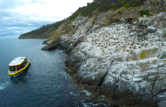 Crucero Iron Pot - Desde Hobart - Foto 2